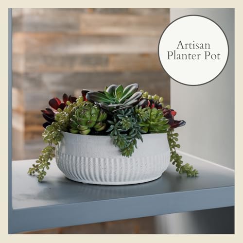 Round Faux Succulent Arrangement, 12" Premium Artificial Indoor Plant Enhances Interior Design, Display on any Surface in Your Home Adding an Inviting Touch of Nature, White Planter Pot Included - size: 12" Round White Planter