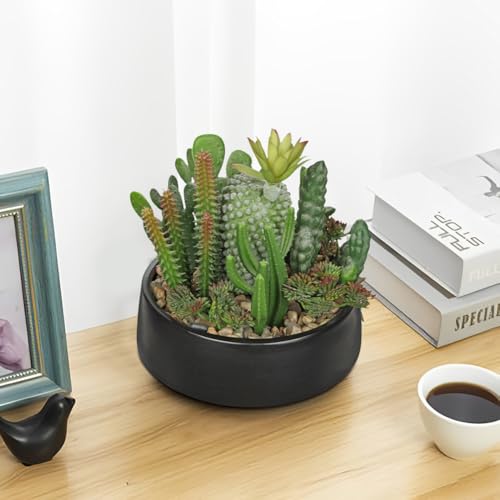 DILATATA Artificial Cactus Plants in Pot 5.5 Inch Fake Succulents Arrangement Potted Plant in Black Ceramic Planter Bowl for Home Office Desk Shelf Living Room Bedroom Bathroom Decor - color: Black Ceramic#style 1