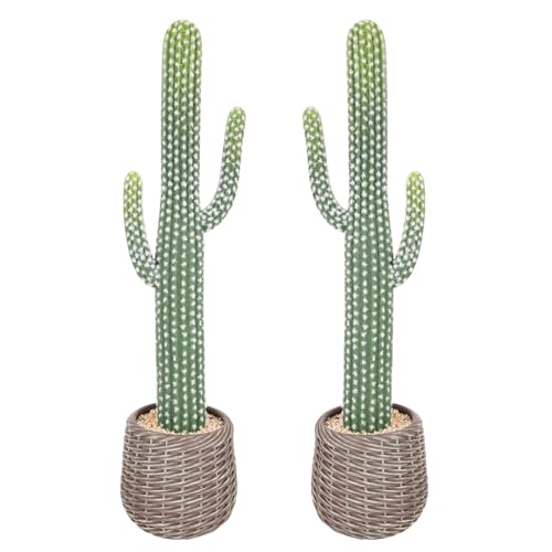 Nafresh Tall UV Resistant Faux Cactus Plant in Brown Woven Planter, 32in Realistic Texture Tall Fake Plant, Artificial Cactus Indoor Outdoor for Home Office Living Room Bedroom Porch Decor, 2 Pack - size: 32in - 2pack