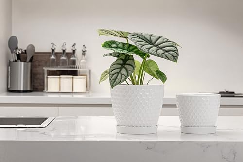 Docrin Ceramic Plant Pots Set of 2 (6.6"+5.5"), High-Fired Clay Indoor Planters with Drainage Holes & Saucer, Honeycomb Modern Home Decor for All House Plants - color: 1-white