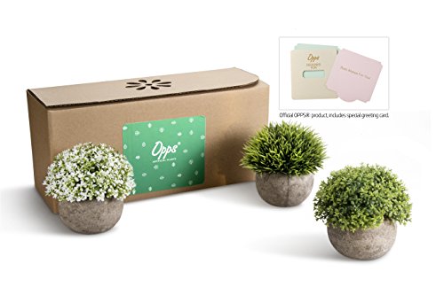 Opps Artificial Plastic Mini Plants Unique Fake Fresh Green Grass Flower in Gray Pot for Home Décor – Set of 3 - color: White & Green
