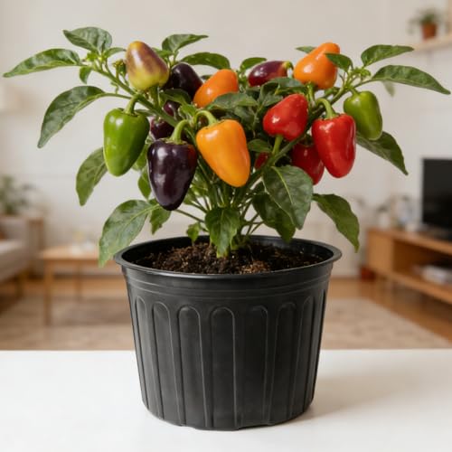 12-Pack 5 Gallon Flexible Plastic Plant Pots,Thickened Soft Seed Starting Container for Indoor Outdoor Plants, Seedlings, Vegetables, Succulents and Cuttings - size: 5 Gallon