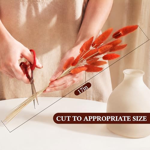 Uieke 120 Pcs Natural Bunny Tails Dried Flowers, 17" Dried Lagurus Ovatus, Dried Burnt Orange Pampas Grass Decor for Farmhouse Flower Arrangements Wedding Home Boho Party Decorations - color: Burnt Orange-120pcs