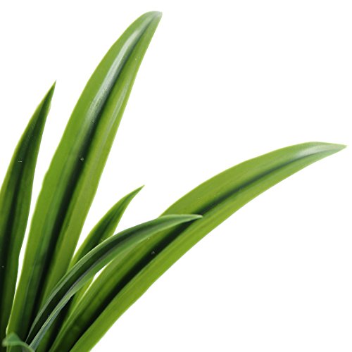 Jasming Artificial Leaves Green Plants Real Touch Cymbidium Orchid Fake Branches for Garden Home Decoration (B) - color: B