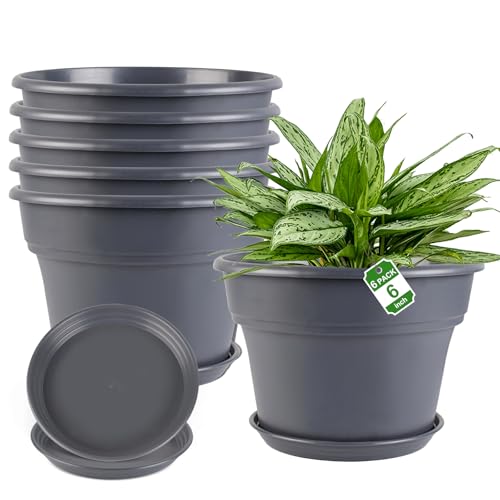 Myfeegoin 6-inch-Plant-Pots-Indoor-Outdoor, 6 Pack Plastic Planters with Drainage Holes & Saucers, Resin Flower Pots with Trays, Classic Garden Pot Container for House - color: Gray, size: 6inch