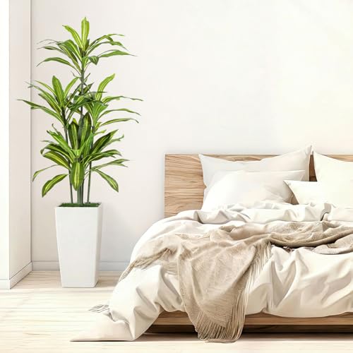 Giegxin 2 Pack 5 FT Artificial Dracaena Tree, Indoor Fake Tree with Black Stable Planter, Natural Wood Trunk & Lifelike Leaves Dracaena Plants for Home Living Room Porch Office Housewarming Gift - size: 5 ft