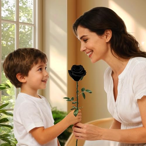 Black Single Forever Roses Luxury Gift for Women/Men, Fresh Flowers Bouquet for Girlfriend, Wife, Mom, Anniversary, Valentine's Day, Wedding, Graduation, Christmas, Birthday, Unique Presents for Her - color: Black