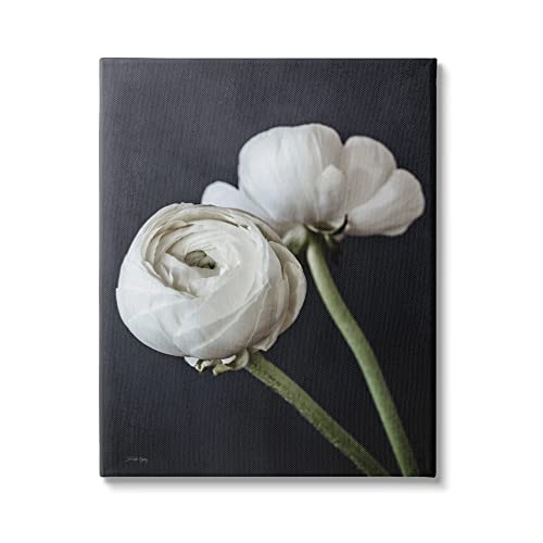 Stupell Industries Modern Ranunculus Flower Blossom Arrangement White Petals Canvas Wall Art, Design By Jennifer RigsBy - color: Gallery Wrapped Canvas, size: 16"L x 1.5"W