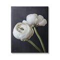 Stupell Industries Modern Ranunculus Flower Blossom Arrangement White Petals Canvas Wall Art, Design By Jennifer RigsBy - color: Gallery Wrapped Canvas, size: 30"L x 1.5"W