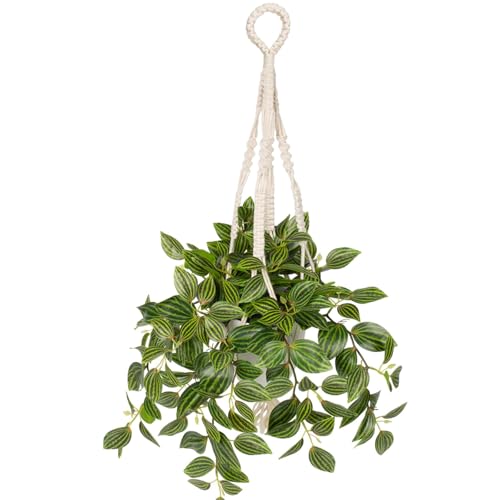 GnFlus Fake Hanging Plants with Pot, 17" Watermelon Leaves Artificial Eye Leaves Potted Plant Faux Peperomia Vine Basket Plant for Wall Bedroom Office Indoor Outdoor Home Decor - color: Watermelon Leaves