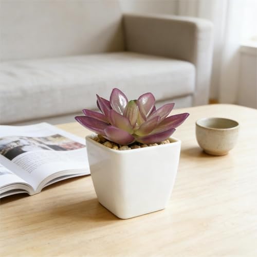 Artificial Succulent Plants in Pot - 1Pcs Treasure Lotus Realistic Fake Potted Succulents for Home Decor, Desk, Office, Bathroom, Windowsill - Indoor Houseplant for Bedroom, Kitchen, Shelf - color: Treasure Lotus