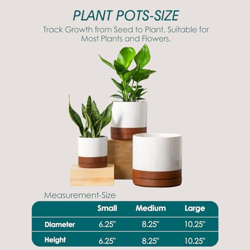 vancasso Ceramic Pots for Plants, Plant Pots for Indoor Plants, 6.25+8.25+10.25 Inch Ceramic Planters, Flower Pots with Drainage Holes, Planters Pot for Indoor House Plant, Set of 3, Khaki - color: Reactive Glaze White, size: 6.25 + 8.25 + 10.25 Inch