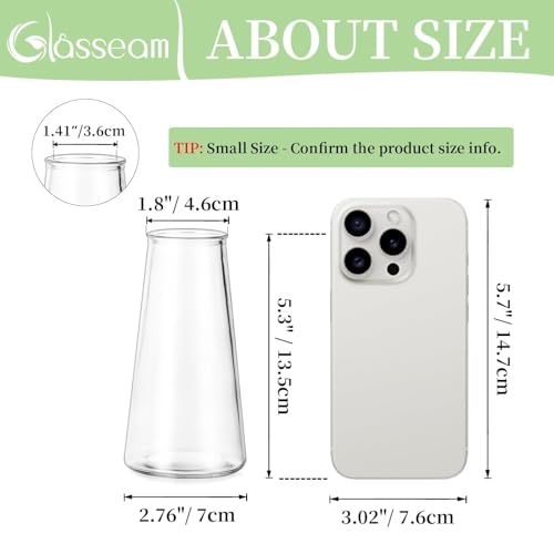 Glasseam Clear Flower Vases for Centerpieces: Modern Glass Vase Set of 12 for Wedding Party Centerpiece Home Table Decor 5.5In Small Bud Vases for Flowers Rose Tulip Stems - size: Clear-12pcs