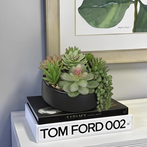 DILATATA Artificial Succulent Plants in Pot 5.5 Inch Fake Succulents Arrangement Potted Plant in Black Ceramic Planter Bowl for Home Office Desk Shelf Living Room Bedroom Bathroom Decor - color: Black Ceramic#style 2