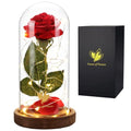Mothers Day Flowers Roses Gifts for Mom Beauty and The Beast Rose,Red Rose in Glass Dome with 2 Lights Modes, Valentines Flower Gifts for Women Mom Wife Girlfriend on Valentines Anniversary,Birthday - color: Beauty and Beast Brown