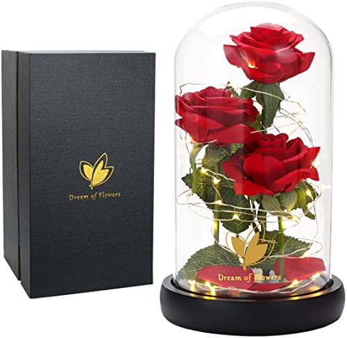 Mothers Day Mom Gifts for Mom,Beauty and The Beast Rose Light Up in Glass Dome,Preserved Flowers Prime Delivery Flowers Gifts,Birthday Gifts for Women Girlfriend Wife Anniversary,Valentines,Wedding - color: Red
