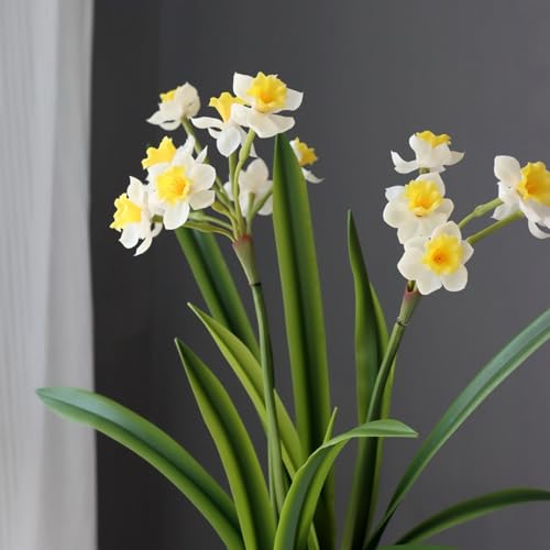 XIYUAN 6 Bundles Daffodils Artificial Flowers 20inch Lifelike Real Touch Narcissus Spring Flowers PU Fake Daffodil Flower Home Indoor Outdoor Wedding Table Party Decor (White)