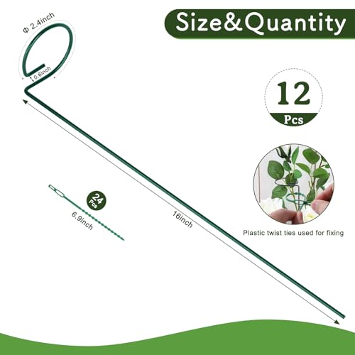 FEED GARDEN 16 Inch 12 Pack Plant Support Stakes, Metal Garden Flower Stakes and Supports for Outdoor Plants, Plant Stem Support with 24 Twist Ties for Amaryllis Lily Rose Peony Tomatoes Gladiolus - size: 16 Inch