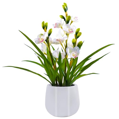 Fake Orchid Plant 19" Tall, Realistic Touch Leaves, Potted Cymbidium Artificial Plants Indoor for Home Decor Small Office Home Living Room-White - size: 19 Inch Cymbidium Orchid White