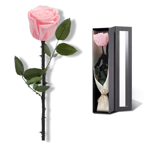 Pink Flowers for Delivery Prime, Preserved Pink Roses Flower Gifts for Women, Real Roses Single Rose Gifts for Her, Mom Birthday Gifts from Daughter, Valentines Flowers - color: 04-pink