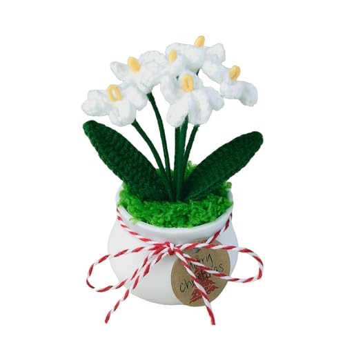 Joekaran Crochet Flowers Cute Little Potted Flower, Gift for Birthday, Mother's Day, Teacher’s Day, Graduation, Anniversary, Decor for Car Dashboard,Home Office Decoration (White Myosotis) - color: White Myosotis