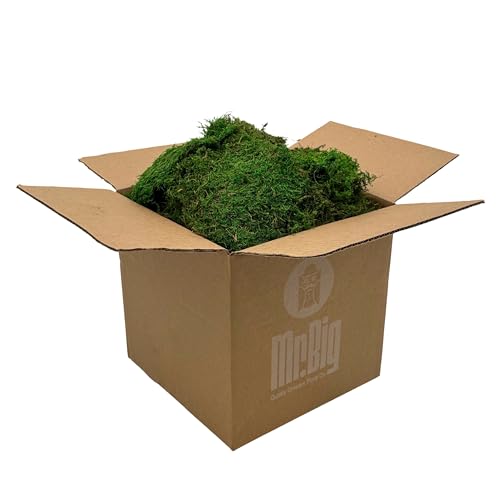Preserved Sheet Moss - Natural Decorative Moss - Dried Moss for Crafts, Home Decor, Art, Design & DIY Projects - Non-Toxic - Green - Standard Box - Covers 5-7 sq. ft. - color: Sheet Moss, size: Box