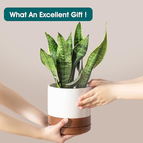 vancasso Ceramic Pots for Plants, Plant Pots for Indoor Plants, 6.25+8.25+10.25 Inch Ceramic Planters, Flower Pots with Drainage Holes, Planters Pot for Indoor House Plant, Set of 3, Khaki - color: Reactive Glaze White, size: 6.25 + 8.25 + 10.25 Inch