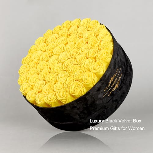 Gifts for Women – NATROSES 60 Preserved Roses in Luxury Black Velvet Box, Preserved Flowers for Delivery Gift for Her, Elegant Rose for Birthday, Mother’s Day, Christmas (Yellow) - color: Yellow, size: 60 Roses