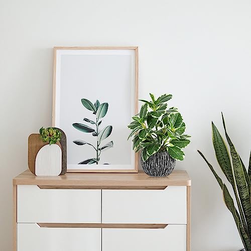 Artificial Plants Indoor Outdoor, Faux Variegated Oak Leaf Plant, Fake Potted Plants Artificial Decor for Coffee Table Desk Shelf, Faux Plants Indoor for Living Room Bathroom Bedroom Entryway Office - color: Green#02
