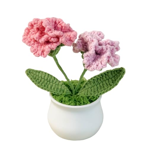 Joekaran Crochet Flowers Cute Little Potted Flower, Birthday Gifts for Women, Mother's Day, Teacher’s Day, Graduation, Anniversary, Desk Decor, Home Office Decoration (Rose red Gradient Carnation) - color: Rose Red Gradient Carnation