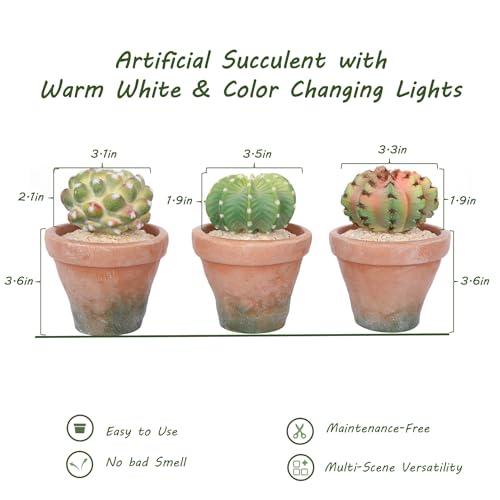 bellacat Fake Succulents with Warm White & Color Changing Lights, 5.6in Lifelike Artificial Succulent Plants, Faux Succulents Light Up Plants for Desk Shelf Living Room Bedroom Decor, Set of 3 Shape - color: Succulent A-3.6in Pot