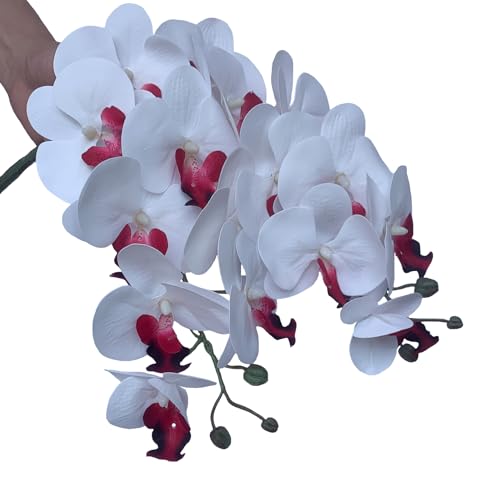 FagusHome 32 Inch Artificial Phalaenopsis Flowers 6 Pcs Artificial Orchid Flowers Stem Plants for Home Décor (Pure White) - color: Pure White
