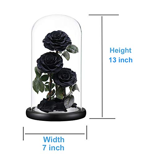 Preserved Roses Handmade Preserved Flowers in Glass Dome, Black Roses Never Withered, Birthday Gifts for Her (13 inch) - color: Black, size: X-Large