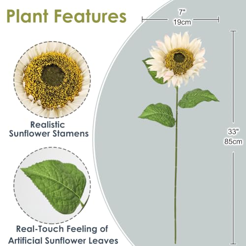 Large Sunflowers Artificial Flowers 8" Full Bloom Long Stem Artificial Sunflower 33" Tall Sun Flowers Giant Silk Sunflowers with Stem Fake Sunflower Floral Arrangement for Home Wedding Decoration - color: Cream White