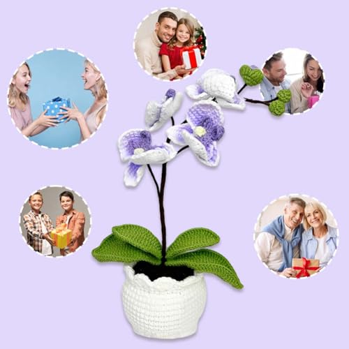 Handmade Crochet Phalaenopsis Orchid Potted Plants Knitted Artificial Orchid Phalaenopsis Flowers with Exquisite Pot for Home Office Wedding Table Centerpiece Decoration,Purple - color: Purple
