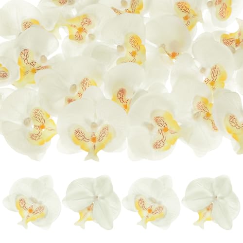 M METERXITY 20-Pack Artificial Orchid Flower Heads, Silk Faux Butterfly Flowers Head for Wedding/Bouquet/Bridal/Party Decor, Fake Phalaenopsis Petals Bulk [2.76 Inch, White Yellow] - color: White Yellow, size: 2.76 Inch