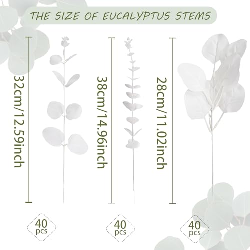 120 Pcs Artificial Eucalyptus Leaves Stems Bulk – 3 Styles Mixed Faux Silver Dollar Eucalyptus Leaves, DIY Fake White Stems for Wedding Bouquets, Floral Arrangements, Centerpieces & Home Decor - color: White Eucalyptus-120pcs