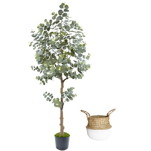 Artificial Eucalyptus Plant 5ft, Fake Tree with Basket, Faux Eucalyptus Plants with White Silver Dollar Leaves, Faux Floor Trees for Home Office Decor Indoor Outdoor - color: Eucalyptus, size: 5ft