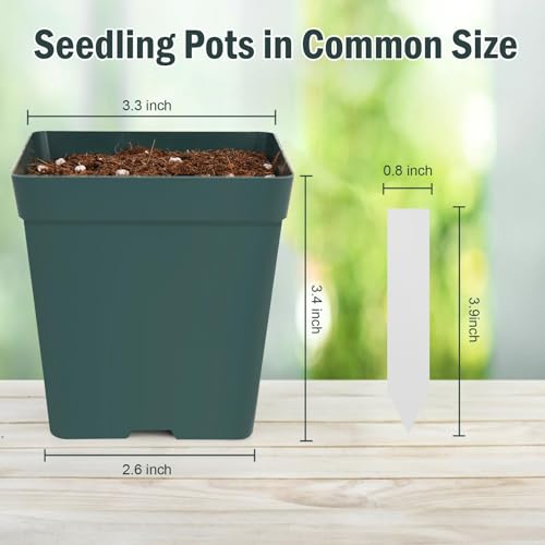 June Fox 100 Pack Green Square Nursery Pots with Drainage Holes 3.3 Inches Flexible Plastic Seedling Pots Square Pots for Plants, Succulent, Flower, with Plant Labels - color: Green