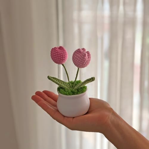 Joekaran Crochet Flowers Cute Little Potted Flower, Gift for Birthday, Teacher’s Day, Graduation, Anniversary, Christmas, Decor for Car Dashboard,Home Office Decoration (Pink Gradient Tulips) - color: Pink Gradient Tulips