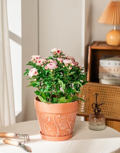 Melphoe Plant Pots Indoor with Drainage & Saucer, 2Pack 8 inch Flower Pots Outdoor Planters for Indoor Plants Garden Home Decor Cactus Succulent, Rigid Plastic (Imitation-Terracotta) Vine-Embossed - color: Terracotta Color, size: 8''