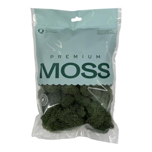 Preserved Reindeer Moss - Moss for Crafts, Home Decor, Art, Design & DIY Projects - Non-Toxic - USA Made (Basil, Small) - color: Basil, size: Small