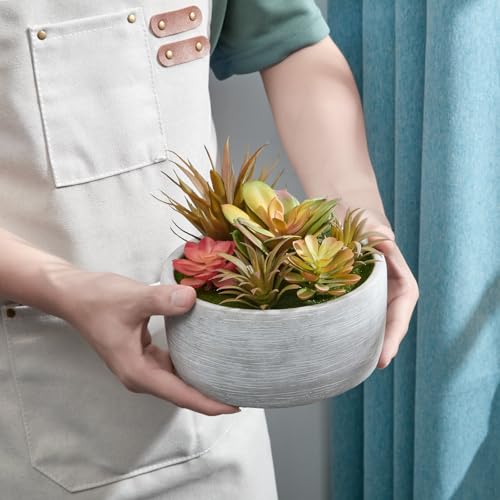 6 Inch Artificial Succulent Plants in Pots,Realistic Fake Succulents with Gray Ceramic Pot for Home Office Desk Bathroom Coffee Table Decor - color: Grey#1, size: 6inch