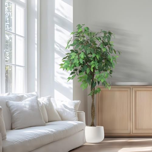 Elegant Faux Ficus Tree in a Designer Nursery Pot, high Density 756 Silver Leaves, A Stylish Addition to Office, Living Room, Upscale Home, Hotel, Booth, Indoor Outdoor Space. (6 feet)