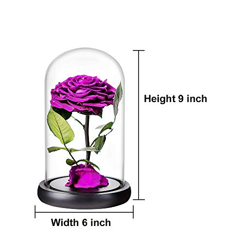 Purple Roses Handmade Rose in Glass Dome, Preserved Flowers Never Withered Romantic Gifts for Her, Mother's Day, Birthday Gifts for Women (9 inch, Purple) - color: Purple, size: Large