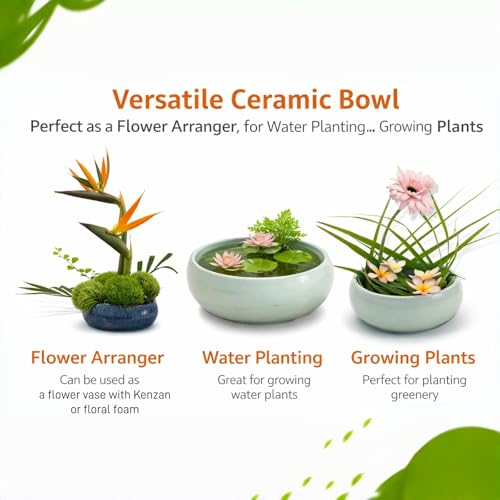 Water Lotus Bowl Planter Kit - Japanese Compote Bowl Ikebana Vase Set w/ 1.8" Floral Frog- Ideal for Ikebana, Flower Arrangement & Hydroponic Planting (Ice Crackle Celadon) - color: Crackle Celadon