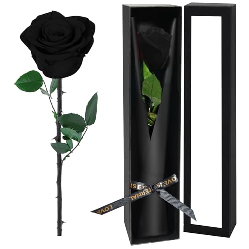Black Single Forever Roses in a Box,Preserved Flowers for Delivery,Preserved Rose Gifts for Women, Real Roses Gift for Her, Mom Birthday Gifts, Mothers Day Flowers,Valentines Flowers,Presents for Her - color: Black-window