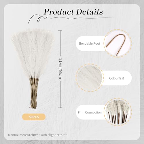 50pcs Ivory Pampas Grass 21.6 Inch Non-Shedding Faux Pampas for Vibrant Warm Home, Boho Weddings and Terracotta Tone Vase Arrangements - color: Ivory
