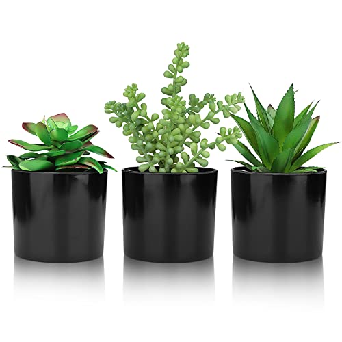 Hopewood Artificial Succulents Faux Potted Plant Decor, Small Fake Plants in Black Pot, Realistic and Lifelike for Book Shelf, Desk Decor, Home Office, Kitchen, or Bathroom Decor - Pack of 3 - color: Faux Plants-black