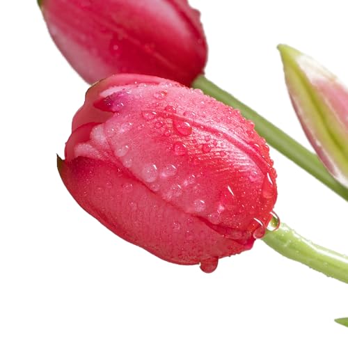 15 Artificial Tulips Flowers,Soft Touch Latex Bouquet, Fake Tulips Flowers,Spring Wedding Home Room Table Centerpiece Decor Rouge Pink Set - color: 15pcs Rouge Pink(no Vase)